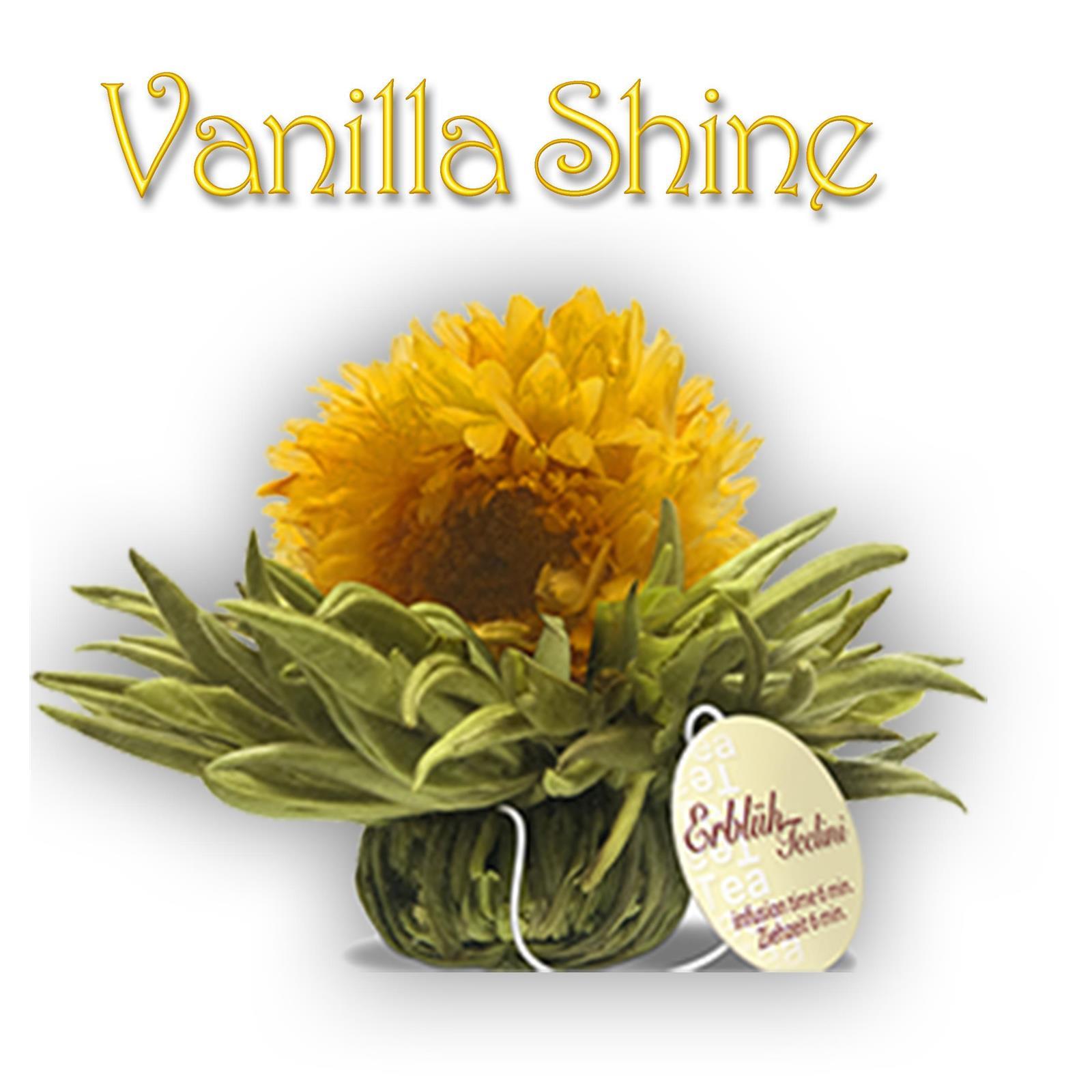 Creano Weißer Tee ErblühTeelini "Vanilla Shine"
