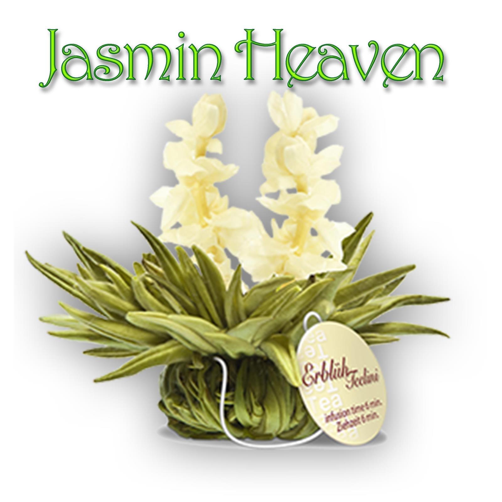 Creano Weißer Tee ErblühTeelini "Jasmine Heaven"